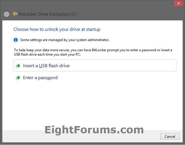 Choose how to unlock your drive at startup