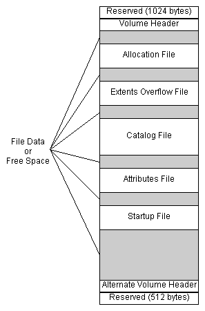 HFS+MetaData