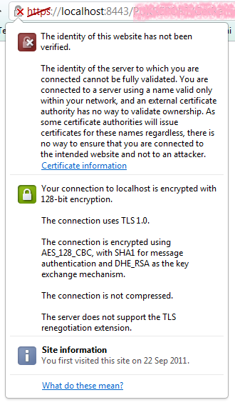 Chrome does not trust localhost certificate