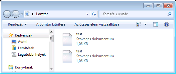 2 files with the same name in recycle bin