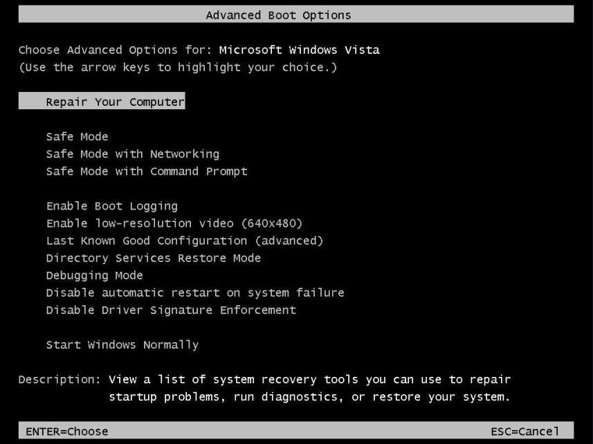 Screenshot of Advanced Boot Options screen