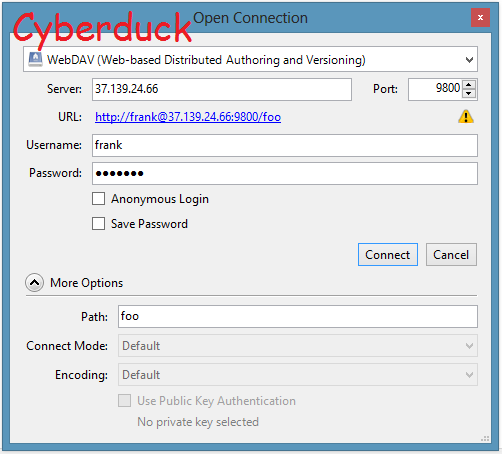 Details entered into Cyberducks. Connection succesful! 