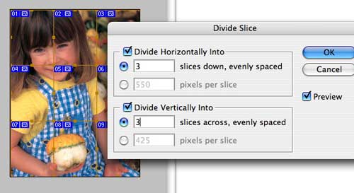 Slicing dialog in Photoshop