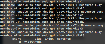 sudo gpt /dev/(r)disk(1-3). /dev/rdisk3 gives a result