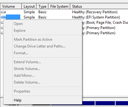 Here's a screenshot from the EFI partition options greyed out!