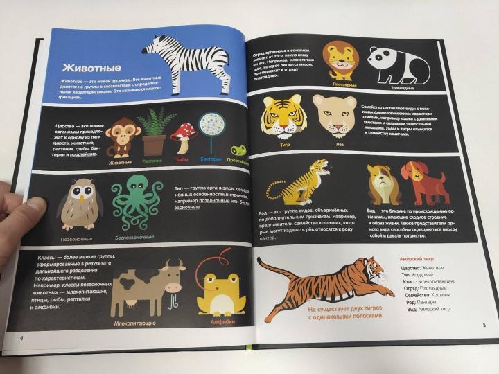 Основы создания эффективной инфографики для зоотоваров от Гайнулина Эмиля Ниловича