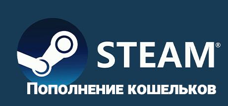 Реальные способы пополнения баланса на платформе Steam